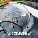 영주차유리