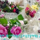 미해 이미지