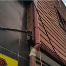 JK 태권도장 이미지