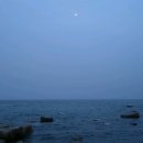 창포초등학교 이미지