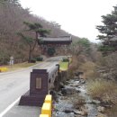 천년태권도체육관 이미지