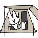진도 카멜리아 힐즈 오토캠핑장 이미지