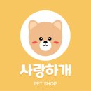 사랑하개 이미지