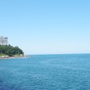 양양애서 이미지