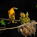 대학공원1 이미지