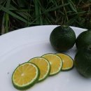 청용농장 이미지