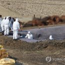 김정남농장 이미지