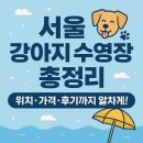 포독스2 | 서울 강아지 수영장 총정리 🐶 위치·가격·후기까지 알차게!