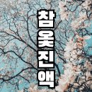 몸을 따뜻하게 데워주고 각종 암질환과 염증 질환에 좋은 참옻진액