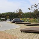 궁농오토캠핑장 이미지