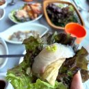 우리가락 춤체조 | 상차림 다 맛있었던 가락시장회센터 가락시장횟집 선우회센터 후기