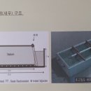 장어와미꾸라지 이미지