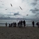 고양이 세수_설렘 이미지