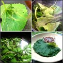 건강밥상으로 가족건강 지키자 이미지