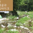 자개골 유원지 이미지