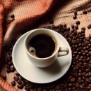 산성식품 이미지