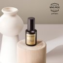 엠브이지(MVG) 이미지