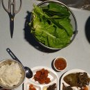 (주)스노우라인캠핑빌리지 이미지
