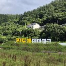 진도개테마파크 ( Dog스포츠(평일)어울마당) | <테마공원 / 전남 진도 휴양관광지 테마공원 진도개테마파크>