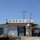 제주도4박5일 2일차 : 수킹타코,목화휴게소,용눈이오름, 카페말로, 제동목장포토존, 스벅제주굿즈 후기