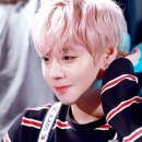 더귀여워 Daum카페