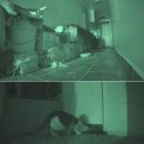 명도농장 이미지