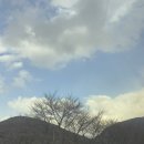 대구 근교 군위 캠핑장 [캠프301] 카라반