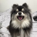 2026.06.07-06.13 엄빠랑 오사카 여행 로또는 형아랑 잘 놀거라