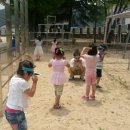 삼가초등학교(병설) 이미지