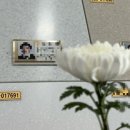 금나비 | [양가 인사] 부모님 첫 인사 선물은 뭘 준비해야할까🤔
