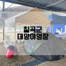 경북 칠곡군 『대양야영장』 사이트 비교