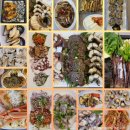 굿포항소식 ㈜ | 포항 맛집 포항이모 / 안 가면 후회할지도~ / 포항 이모카세 / 해산물 오마카세는 포항이모