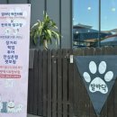 편하개 탈고양 이미지