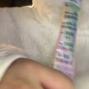 베스타PC방 | 헤어지던 밤