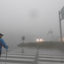 진고개화장실 이미지