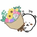 와프플라워 | 𝑊𝑒𝑑𝑑𝑖𝑛𝑔 03 남자친구 부모님 첫인사 꽃다발 준비 구월동 와프 플라워 💐🌼🌷