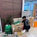 미라크리닝 이미지