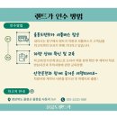 저단31 | [울릉도여행] 울릉도렌트카 할인 가격 2박3일 이용후기 (+예약방법)