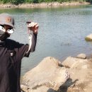 방아실민박 이미지