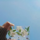 보령치과의원 이미지