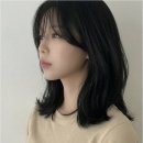 Hair(헤어),쉼 네이버블로그