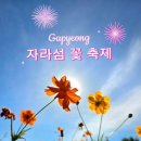10월 9일 벙개산행 가평 자라섬 산보 이미지