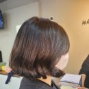 루이네 미장원 | 서귀포미용실 단발컷 추천 루이네미장원 지혜실장