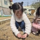 4월 3일 열무 씨앗심기&amp;영어&amp;과학 이미지