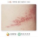 이웃집약국 이미지