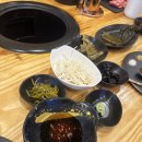 머꼬또양 | [맛집] 명지 머꼬또양 양갈비/양등심 먹은 후기(내돈내먹)