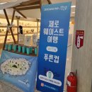 푸른컵 네이버블로그