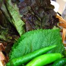 이병우설농탕 이미지