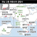 전남 고흥반도 봄꽃여행 이미지