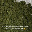 조은건강원 - 밀양시 송원길 6 | 조은건강원